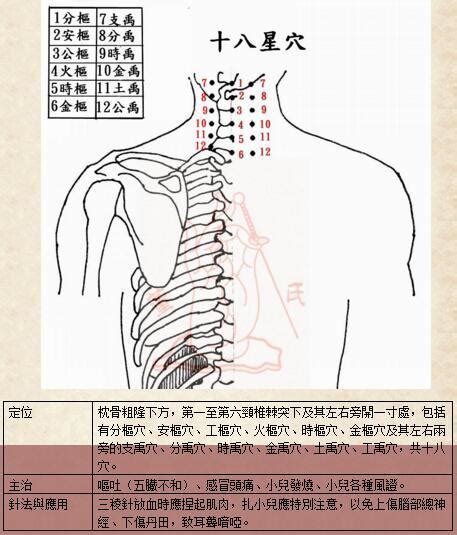 四海穴|（十八）四海功能及所主腧穴